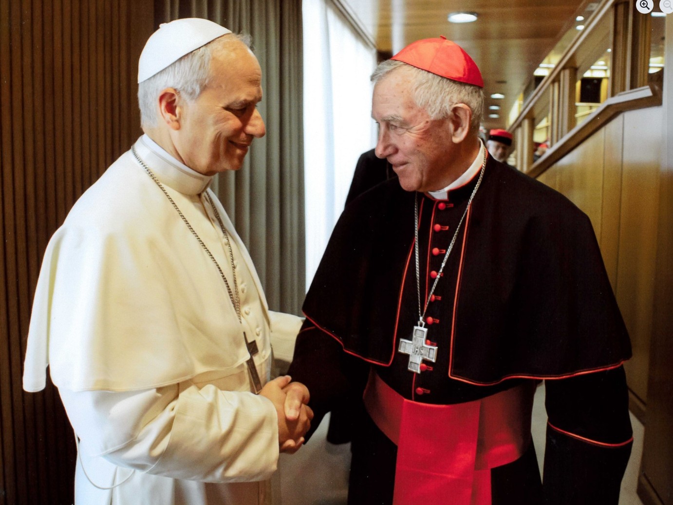 cardinal dew and pope leo